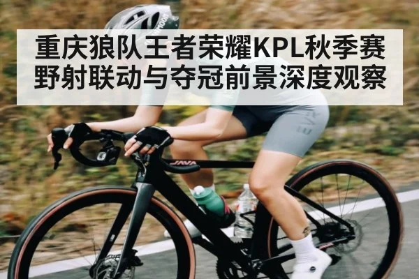 重庆狼队王者荣耀KPL秋季赛野射联动与夺冠前景深度观察